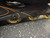 Used K2 FLIGHT 76 Senior Rec Fitness Skates Black Senior 10 11162-C000450431 View 2