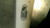 Used Louisville Slugger PRIME ONE BB/SB USSSA 2 3/4 Bat 31" 11868-S000068665 View 3