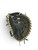 Used Marucci ASCENSION 1ST BASE BB/SB First Base RH Throw Black And Natural 12 1/2" 11143-S000130706 View 3