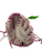 Used Wilson AURA A04RF25105 Leather Shell Junior Fastpitch Softball Glove RH Throw 10 1/2" 11731-S000162964 View 1