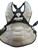 Used All Star 12-16 Catchers Chest Protector Black Intermed 11732-S000364441 View 2