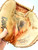 Used Cooper DIAMOND DELUXE 662 BB/SB Catchers RH Throw Brown 31" 11860-S000307147 View 6