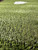 Used TURF BATTERS BOX BB/SB Training Aid 11605-S000216734 View 2