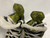 Used Bauer VAPOR 3X Youth Hockey Skate Youth 11.0 11855-S000201859 View 2