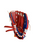 Used Rawlings PLAYER SERIES 9 INCH GLOVE BB/SB Glove RH Throw View 2
