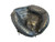Used Mizuno PROSPECT BB/SB Catchers RH Throw Black 31 1/2" 11512-S000235083 View 1