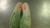 Used Nike Track & Field Cleats Adult Green Senior 6 11868-S000068832 View 4