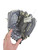 Used Mizuno PROSPECT POWER CLOSE RHT GLOVE BB/SB Glove RH Throw Grey 11" 11708-S000192872 View 3