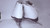Used Jackson 150 Girls Figure Skate White Junior 03 11879-S000019645 View 5
