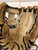 Used Marucci MG1150FP BB/SB Glove RH Throw Brown 11 1/2" 11668-S000119331 View 5