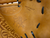 Used Rawlings Heart of the Hide PROTCM33T Catchers Mitt RH Throw Brown 33" 11742-S000527630 View 2