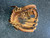 Used Wilson DP15 GM BB/SB Glove RH Throw Brown 11 1/2" 10743-S000483364 View 1