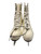 Used FIGURE SKATE SZ 8 WomensFigure Skate White Senior 8 11814-S000394194 View 3