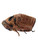 Used Mizuno FASTPITCH BB/SB Glove RH Throw Brown 11 3/4" 11732-S000364929 View 2