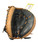 Used Mizuno PROSPECT BB/SB Catchers RH Throw Black 31" 11719-S000272224 View 1
