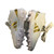 Used Adidas Adizero Impact.2 Molded Rubber Football Cleats White Senior 7 11730-S000070933 View 6