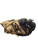 Used Mizuno CATCHERS MITT BB/SB Catchers RH Throw Tan 32 1/2" 11842-S000229017 View 1