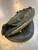 Used Easton ALPHA BB/SB Catchers RH Throw Black 30" 11339-S000201298 View 2