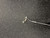 Used Ping CUSHIN Mens Putter RH 11162-S000451489 View 7