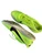Used Nike Track & Field Cleats Adult Neon Green Senior 11.5 11479-S000420846 View 2