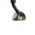 Used Adams A12 OS Golf Chipper RH Unknown Degree 11484-S000302487 View 4