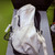 Used Easton WALKOFF BB/SB Player Backpack White 11879-S000020013 View 2