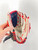 Used Rawlings PLAYMAKER BB/SB Glove RH Throw Grey 11" 11860-S000307868 View 3
