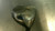 Used Callaway X Mens Fairway Wood RH 7 Wood 11868-S000069005 View 1