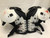 Used Riddell WARRIOR IV FB Shoulder Pads White SM 11668-S000119669 View 1