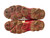 Used Mizuno 9-SPIKE AMBITION 2 BB/SB Cleats Red Senior 10.5 11450-S000519315 View 2