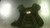 Used Mizuno SAMURAI CP Catchers Chest Protector Black Adult 11868-S000069033 View 1