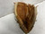 Used Louisville Slugger The Thief LSG20 Baseball Glove RH Throw Tan 12" 11855-S000202436 View 1