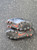Used Nike Soccer Cleats Black Youth 12.0 11849-S000039202 View 3