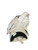 Used Vaughn VENTUS SLR2 INT Senior Goalie Catcher White 11768-S000235593 View 2