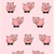 New Little Piggies MD 5-10 11851-54HPIGGIESMD View 2
