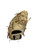 Used Marucci ASCENSION SERIES AS37S1 BB/SB First Base RH Throw Tan 12 1/2" 11884-S000062919 View 3