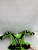 Used DALLAS STARS Youth Shoulder Pads LG 11871-S000029661 View 1