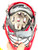 Used Cascade CPVR Lacrosse Helmet Red S/M 11860-C000308141 View 6