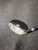 Used Adams Golf OVATION 3 Mens Fairway Wood RH 5 Wood 11726-S000295395 View 3
