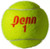 Used Penn CHAMPIONSHIP 3-ball Tennis Canister 11730-S000071185 View 2