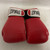 Used Everlast Boxing Gloves Red And White Senior 11855-S000202691 View 1