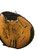 Used Rawlings MARK OF A PRO BB/SB Catchers RH Throw Brown And Black 32" 11861-S000032092 View 1