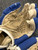 Used STX VORTEX Lacrosse Gloves Mens Royal Blue LG 11162-S000452663 View 4