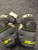 Used STX STALLION 100 Lacrosse Arm Pads/Guards Black SM 11162-S000452671 View 1