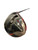 Used Taylormade STEALTH PLUS 9.0 Mens Driver RH 9.0 Degree 11814-S000395404 View 2