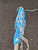 Used STX RACY X AL6000 Jr Atk/Mid Complete Stick Royal Blue 11849-S000039410 View 4