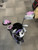 Used Nitro BLASTER Womens Package Set RH Purple 9 Piece 11614-S000235763 View 4