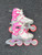 Used Bladerunner PHOENIX G Senior Rec Fitness Skates Pink Adjustable 11849-S000039436 View 1