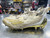 Used Adidas ADIZERO Adult FB Cleats White And Gold Senior 9 11945-S000252022 View 1
