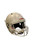Used Riddell RIDDELL HELMET SPEED FB Helmet White MD 11863-S000026191 View 1